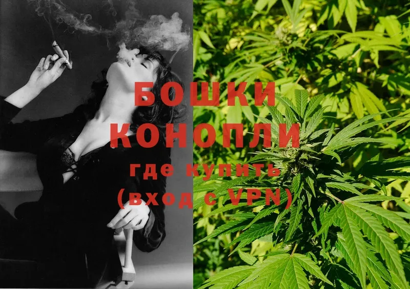 Конопля Ganja  купить   Елабуга 